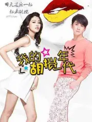 我的胡搅年代（电视剧）[2017]