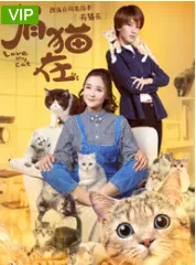 有猫在（电视剧）[2018]