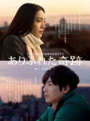 平凡奇迹（电视剧）[2009]