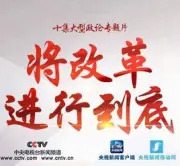 Fail to reform（TV）[2017]