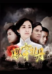 凤穿牡丹