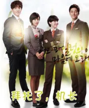 拜托了，机长（电视剧）[2012]