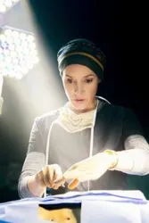 证据（电视剧）[2015]