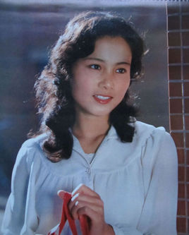 赵凡电视电影作品图谱