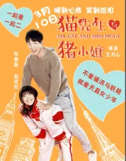 猫先生与猪小姐