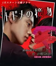 致命之吻（电视剧）[2018]