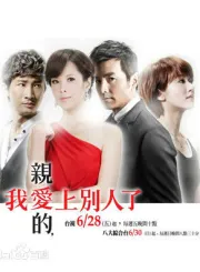 亲爱的我爱上别人了（电视剧）[2013]