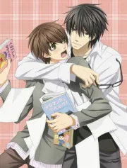 世界第一的初恋（电视剧）[2011]