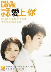 Accidentally fall in love with you（TV）[2011]