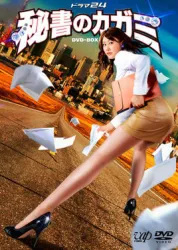 模范秘书（电视剧）[2008]