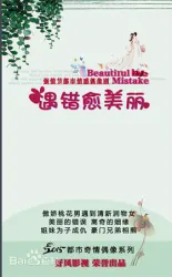 向往的结婚（电视剧）[2017]