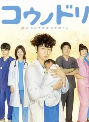 产科医鸿鸟（电视剧）[2015]