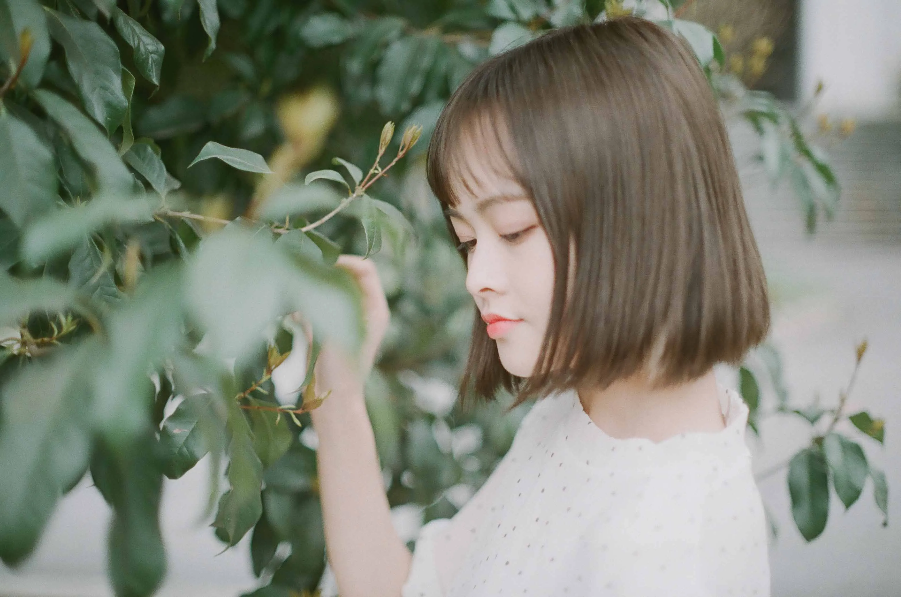 C5E244FE@478CCE5B.D62A935C.jpg C5E244FE@478CCE5B.D62A935C.jpg