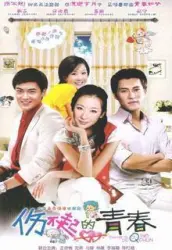 Can not afford to hurt youth（TV）[2012]