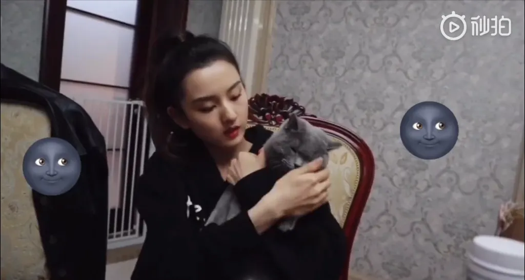 “猫奴少女”宋祖儿日常Vlog上演与“猫主子”的“相爱相杀”.png