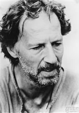 维尔纳·赫尔佐格