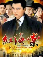紅海棠（電視劇）[2007]