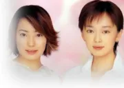 美丽的真相（电视剧）[1999]