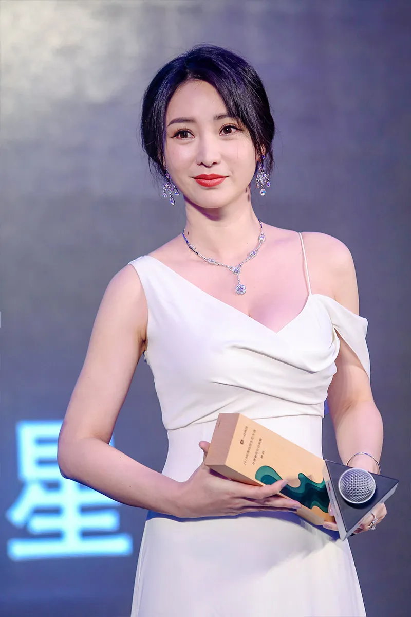  Liu Yan (actress) 精致钻石耳坠低调典雅 衬托修长天鹅颈1.jpg