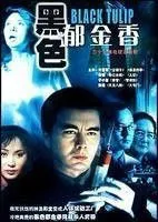 黑色郁金香（电视剧）[2004]