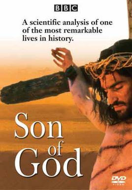 268_385竖版 竖屏