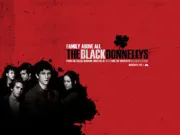 唐纳利兄弟（电视剧）[2006]