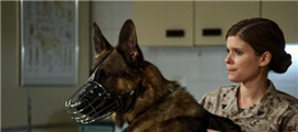 电影《战犬瑞克斯》评论 上演了一段催人泪下的人狗情缘