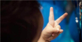 佟丽娅昨日为儿子庆生却不见陈思诚 今天奇妙的事情竟发生了