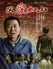 Father as a mountain（TV）[2009]