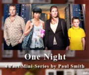 一夜疑云（电视剧）[2012]