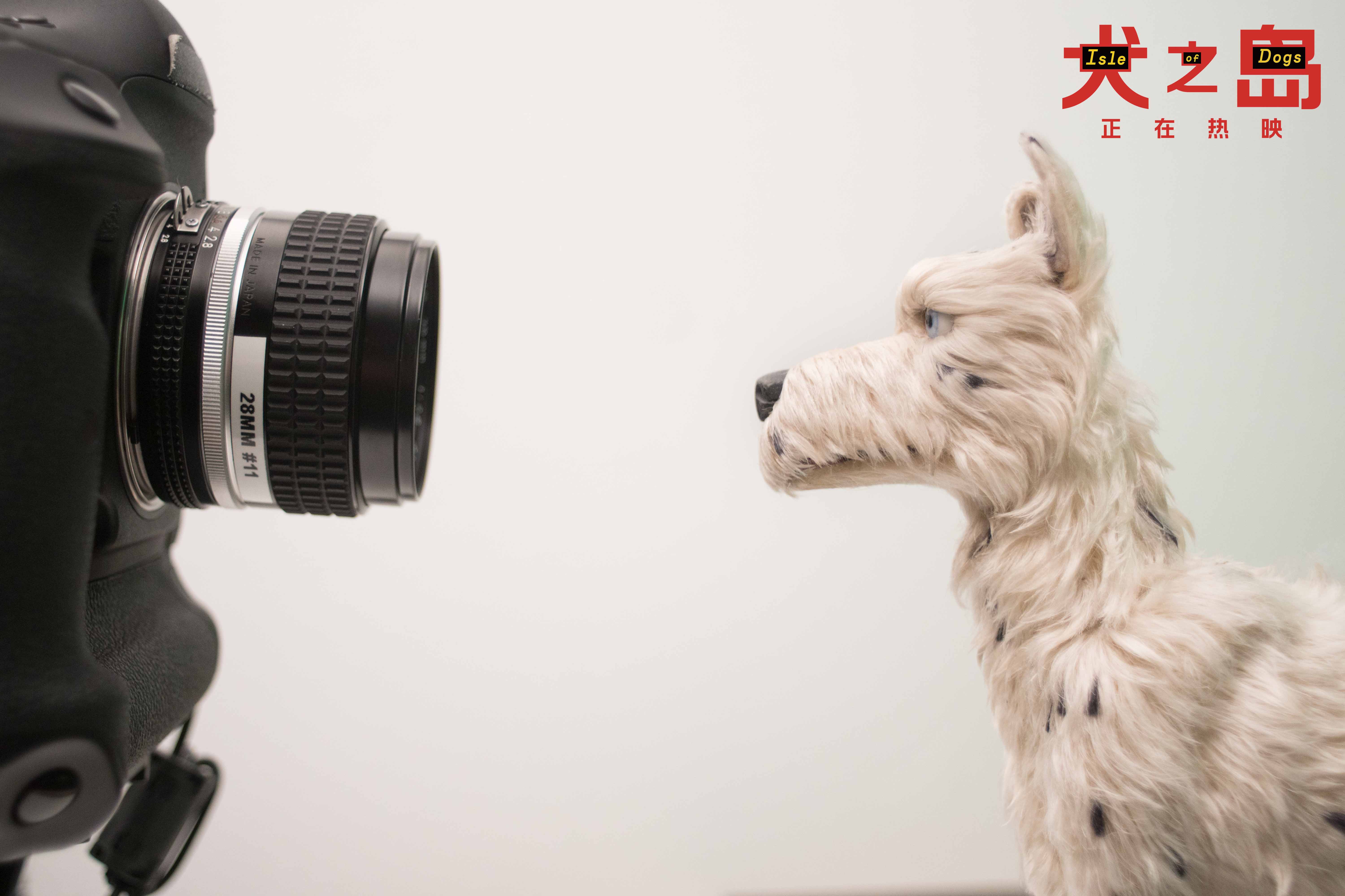 《犬之岛》人狗相处方式引思考幕后特辑揭露影片"功臣" - 电影资讯
