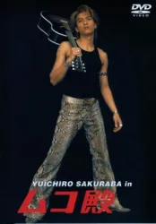 女婿大人（电视剧）[2002]