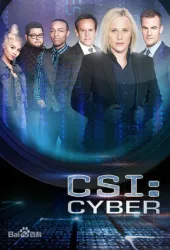 網絡犯罪調查（電視劇）[2015]