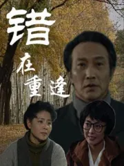 错在重逢（电视剧）[1994]