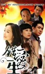 錯愛一生（電視劇）[2005]