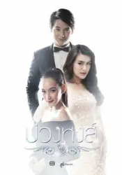 天鹅套索（电视剧）[2017]