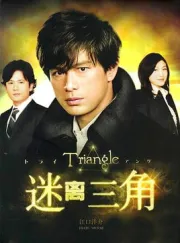 三角迷踪（电视剧）[2009]