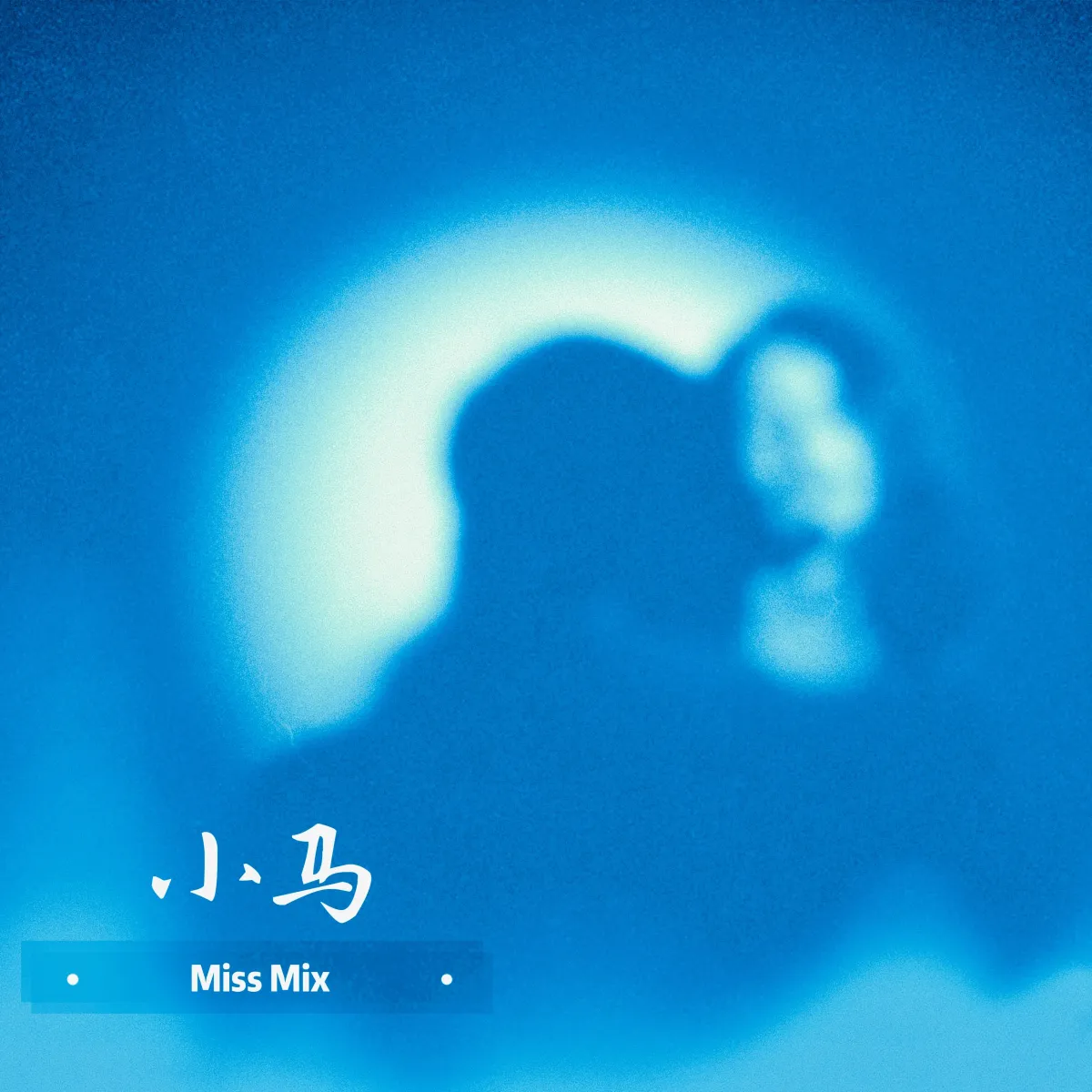 1.Miss Mix乐队《小马》单曲封面.jpg