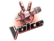 美国之声（电视剧）[2011]