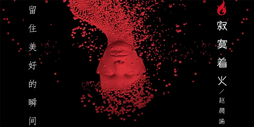 歌曲封面 趙晨唏-寂寞著火1000+500.jpg
