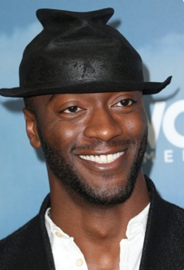 阿尔迪斯·霍奇