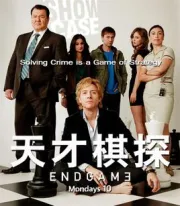 天才棋探（电视剧）[2011]