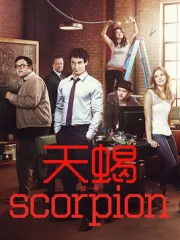蝎子网络（电视剧）[2014]