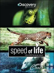 探索频道：生命的速度（电视剧）[0]