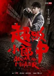 超级小郎中（电视剧）[2017]