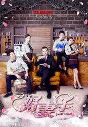 Good wife（TV）[2016]
