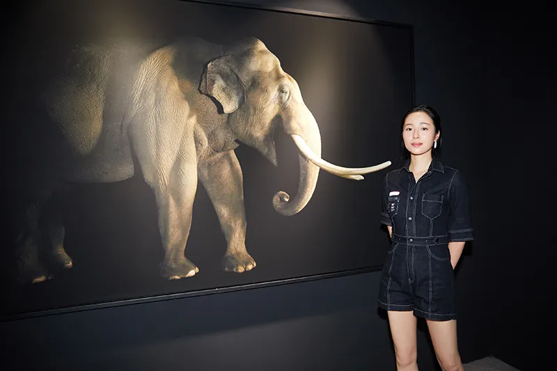  Jiang Yiyan 用摄影作品为濒危野生动物发声.png