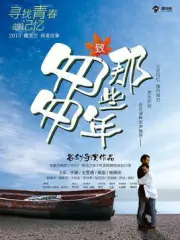 致匆匆那些年（电视剧）[2015]