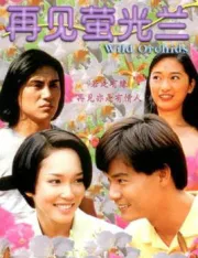 再见萤光兰（电视剧）[1996]