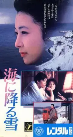 和由布子个人资料 和由布子明星关系图谱 电视作品图谱 明星 星关系